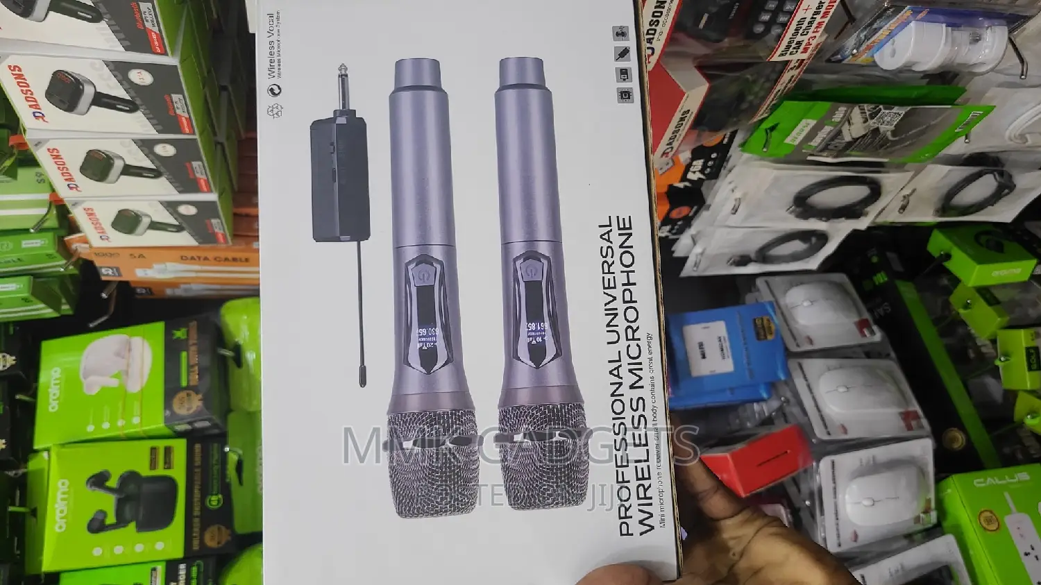 Professional Wireless Microphone