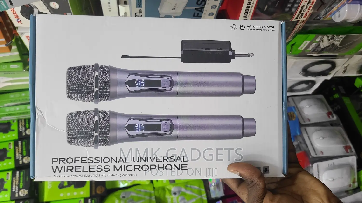 Professional Wireless Microphone