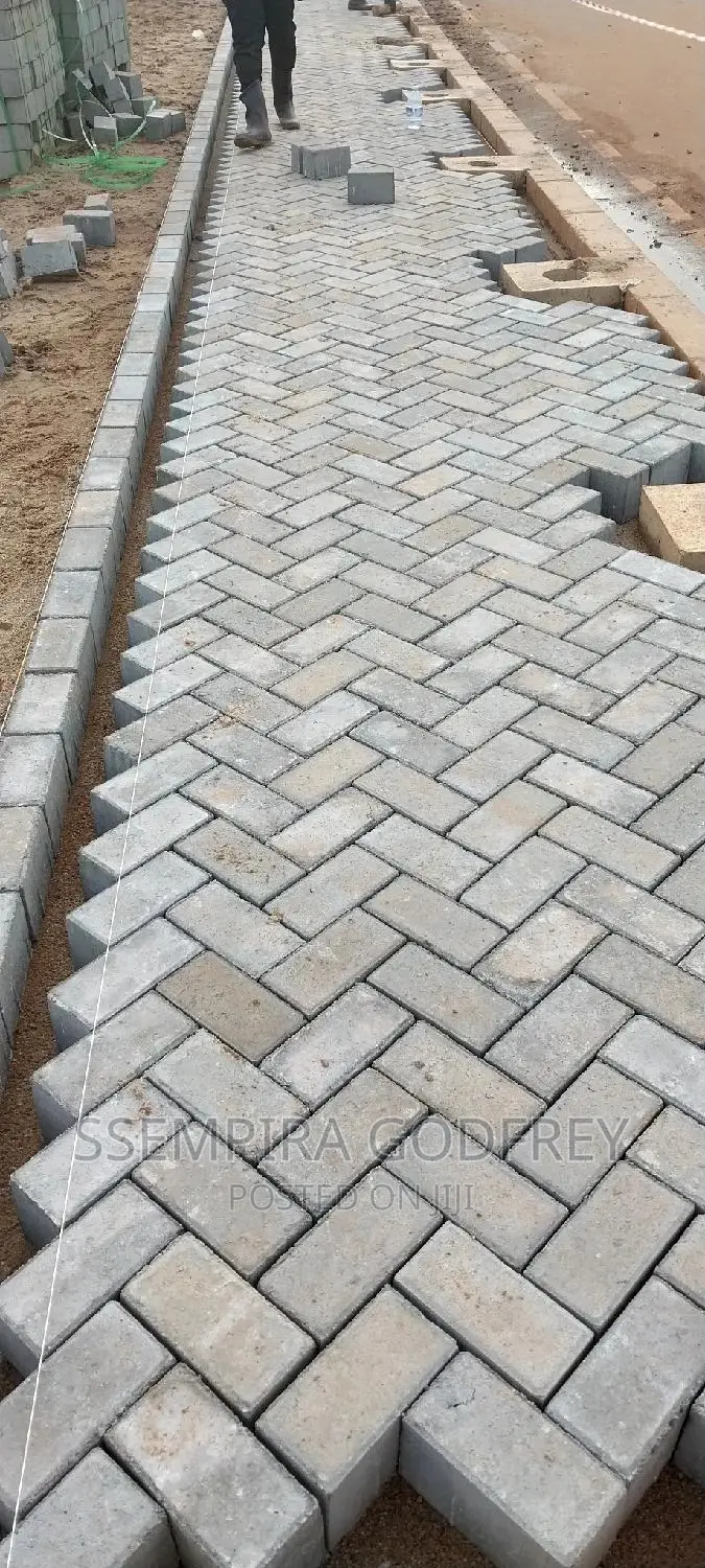 Paving With Curiosty With Artisic Plans