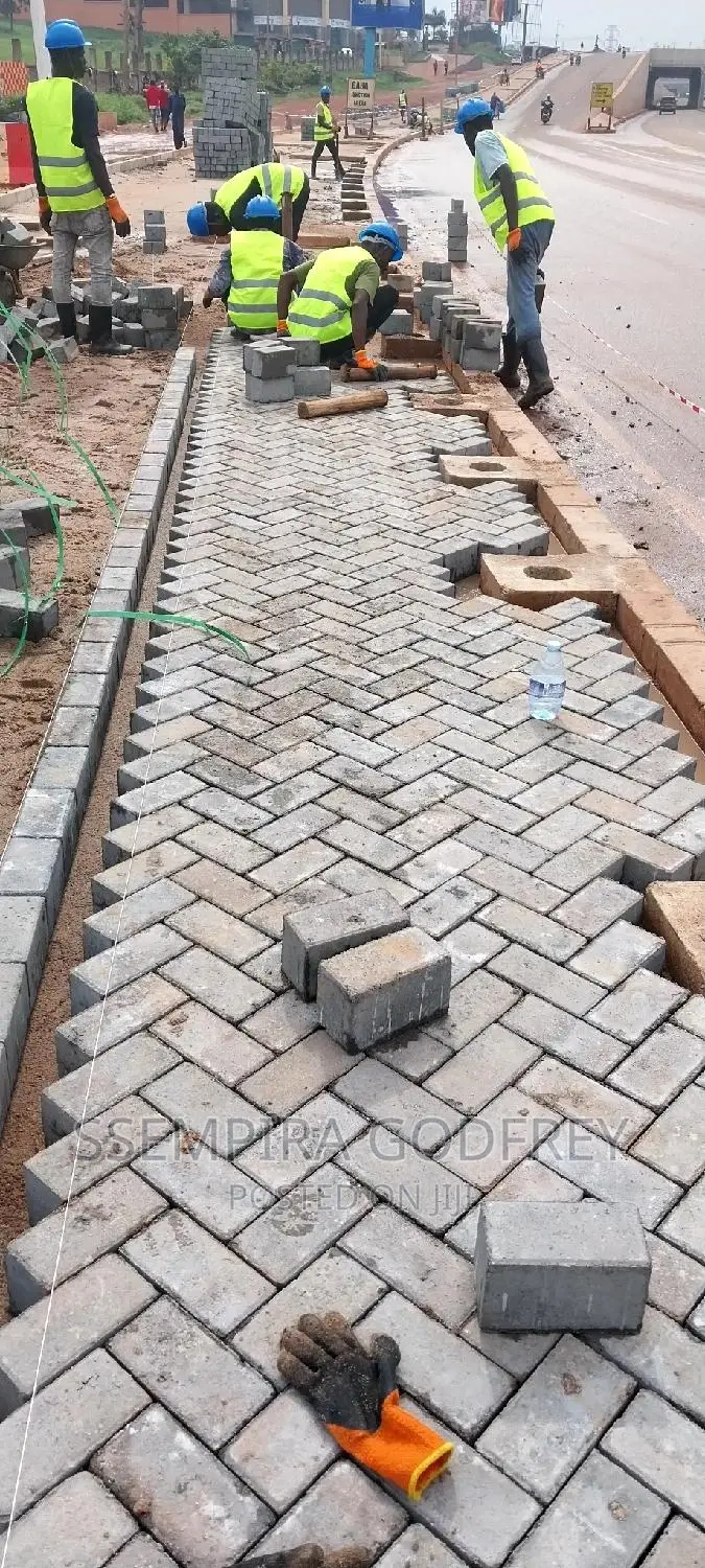 Paving With Curiosty With Artisic Plans