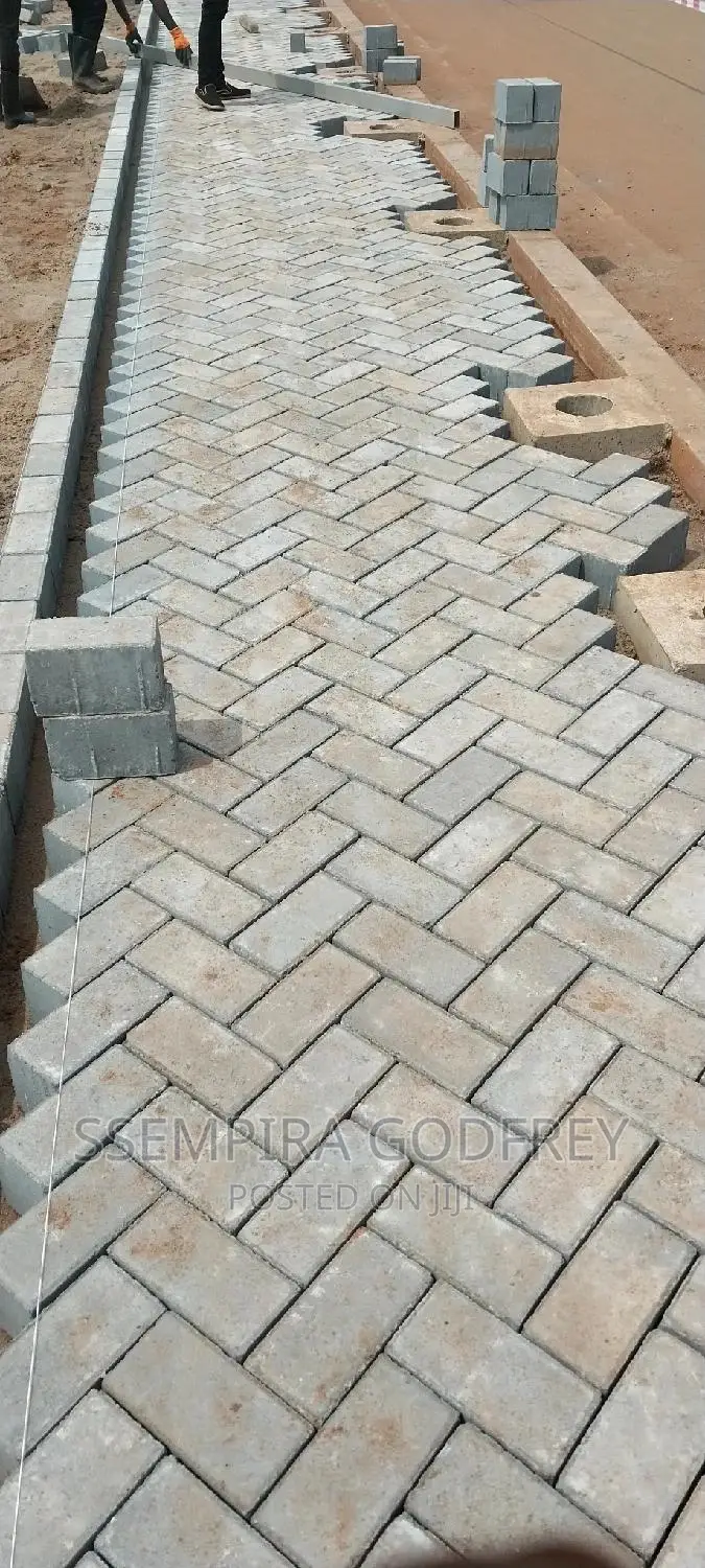 Paving With Curiosty With Artisic Plans