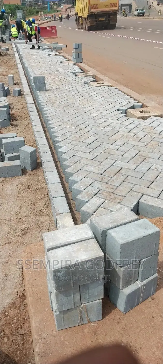 Paving With Curiosty With Artisic Plans