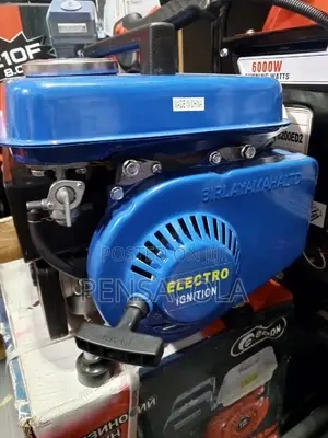 Portable Generator (Saloon Generator)