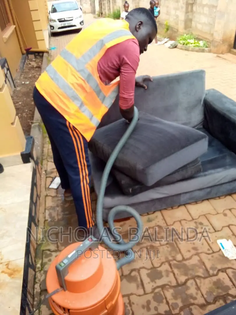 Executive Sofa Cleaning