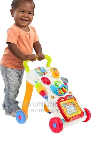 Photo - New Baby Musical Walker Toddler