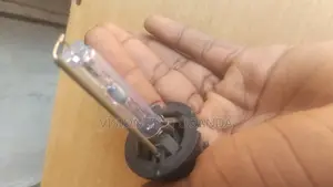 D4S Zenon Bulbs (Original)