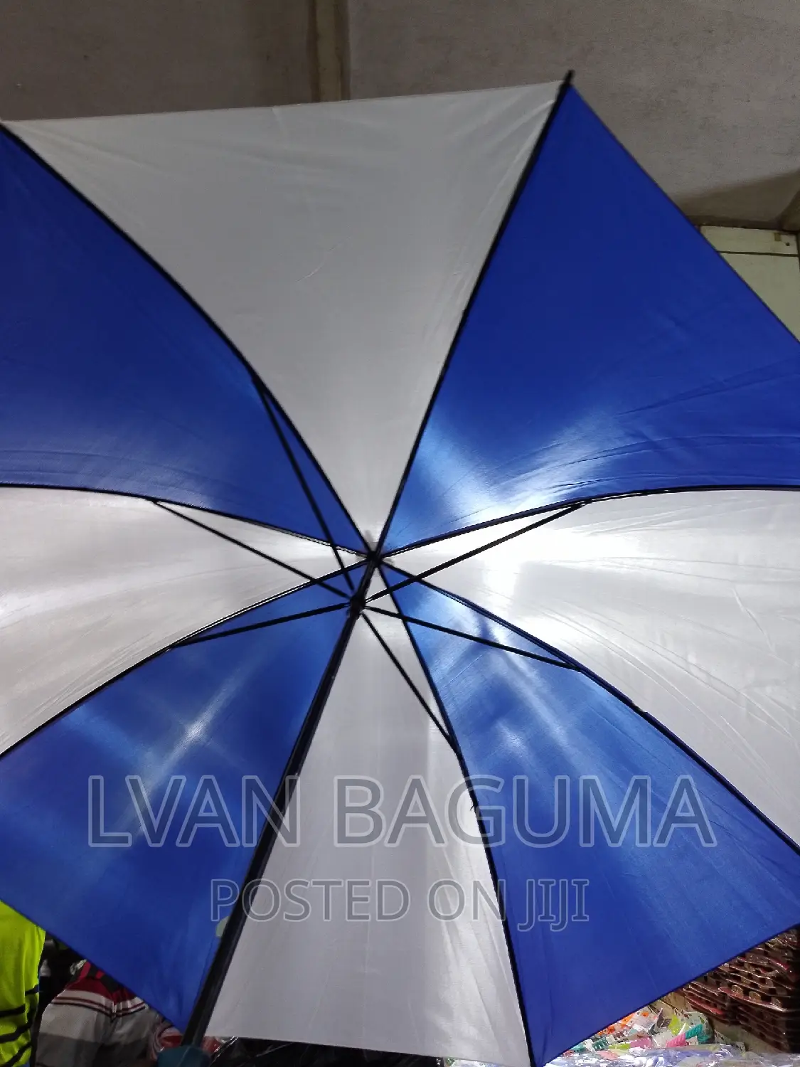 Classic Rain / Sunshine Umbrellas