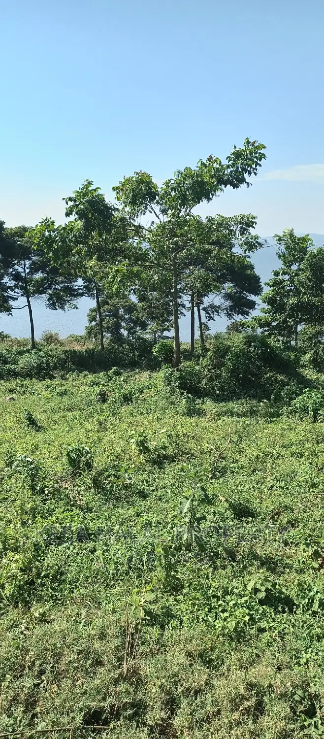 Good 100 Acre at Buyikwe Just 35m Good View Touching Lake