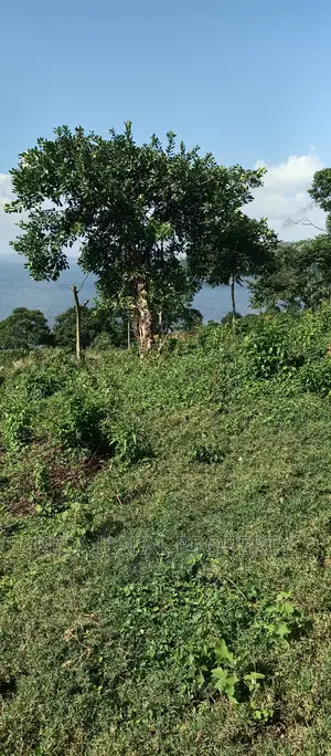 Good 100 Acre at Buyikwe Just 35m Good View Touching Lake