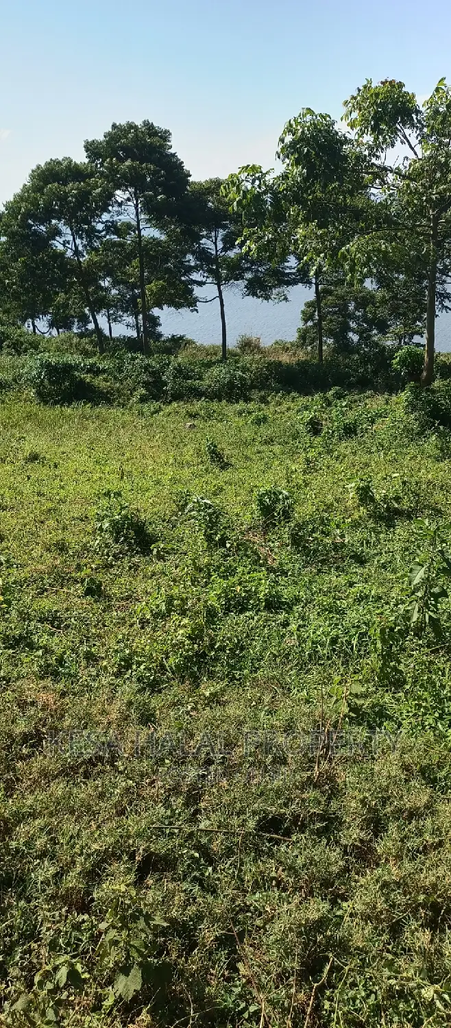 Good 100 Acre at Buyikwe Just 35m Good View Touching Lake