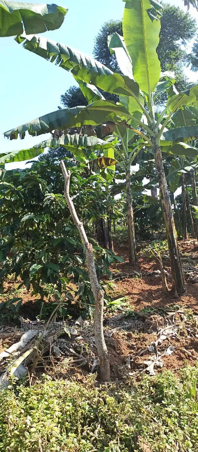 Good 100 Acre at Buyikwe Just 35m Good View Touching Lake