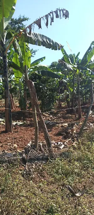 Good 100 Acre at Buyikwe Just 35m Good View Touching Lake