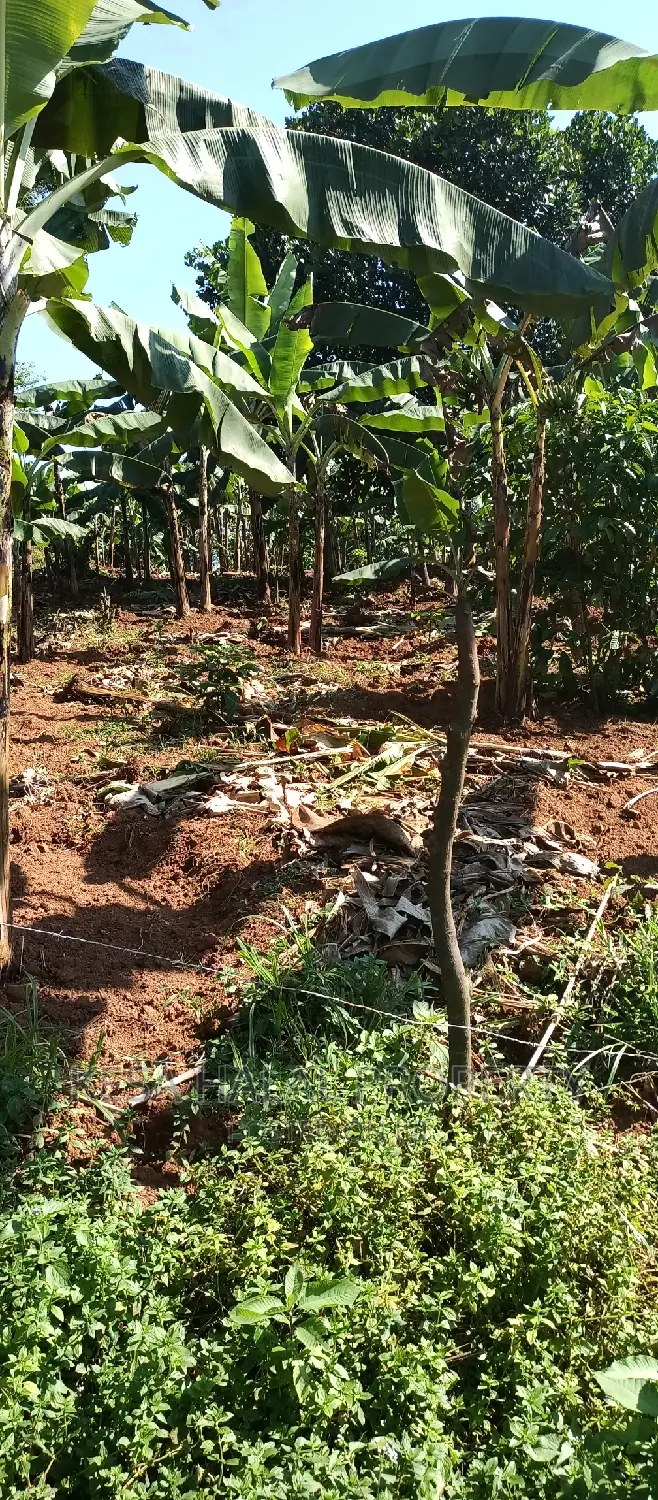 Good 100 Acre at Buyikwe Just 35m Good View Touching Lake