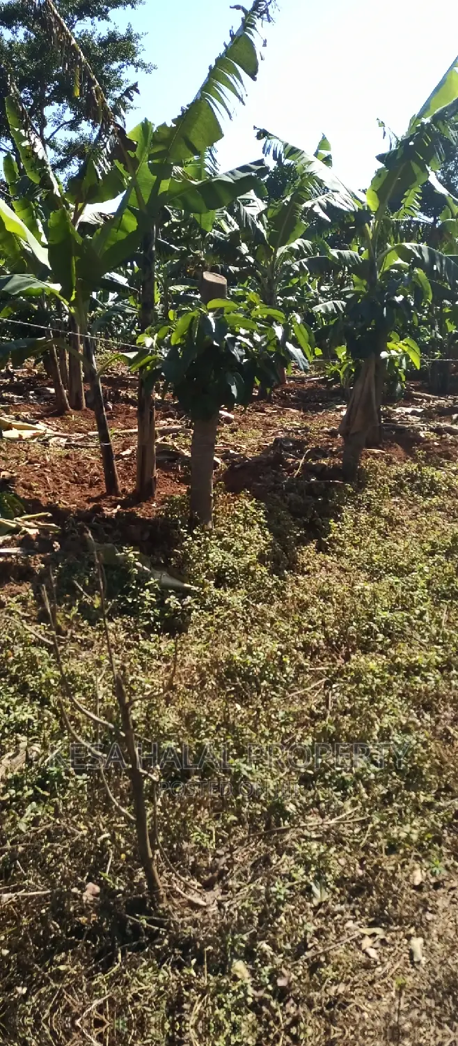 Good 100 Acre at Buyikwe Just 35m Good View Touching Lake