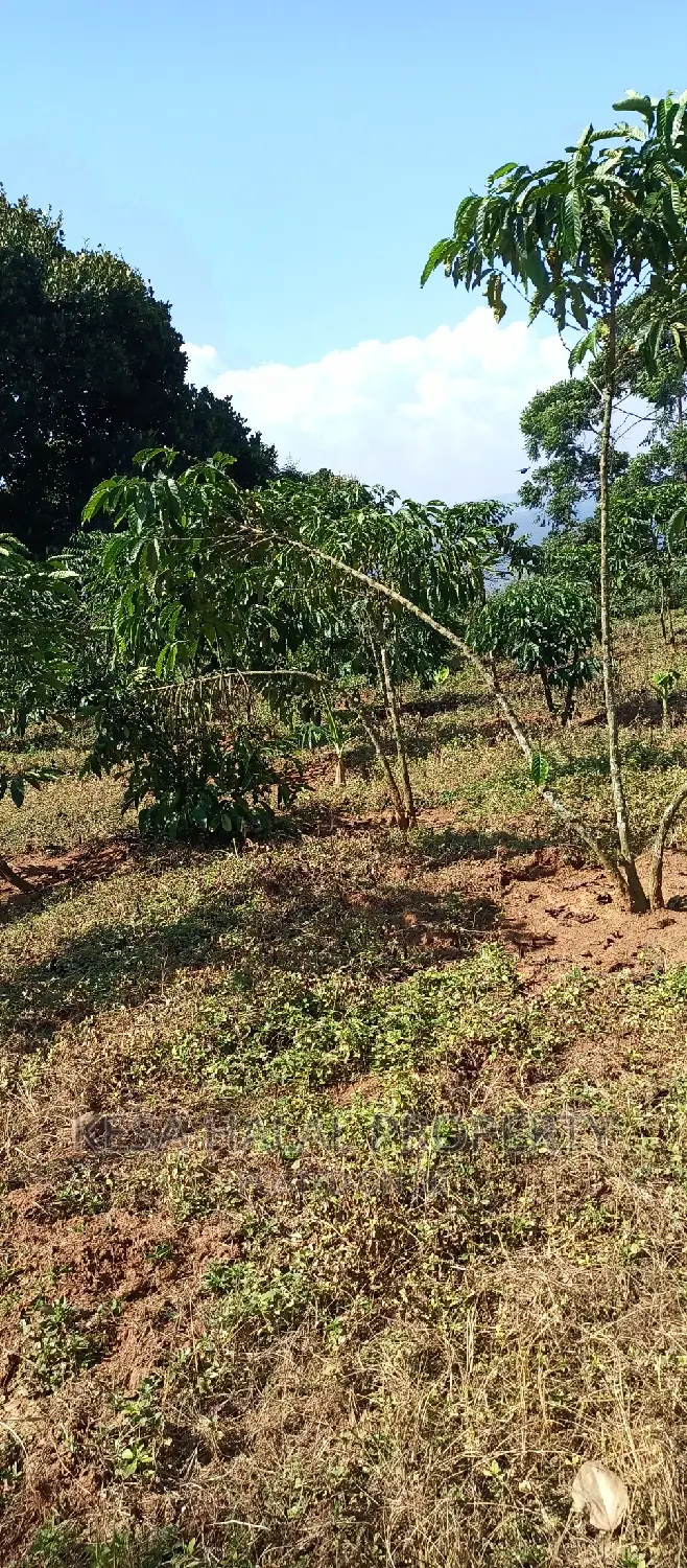 Good 100 Acre at Buyikwe Just 35m Good View Touching Lake