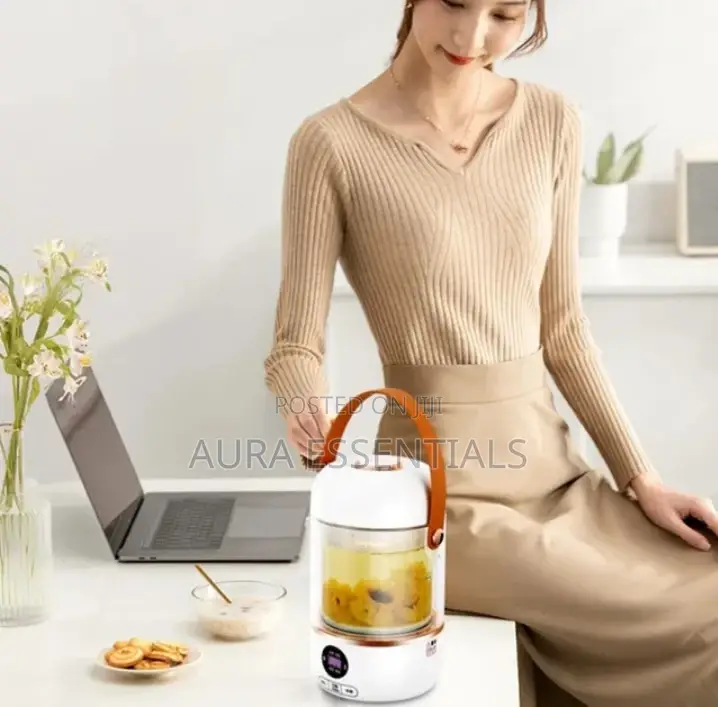 Electric Kettle 0.5L Multifunction Electric Hot Water Cup