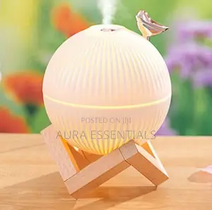 Air Humidifier