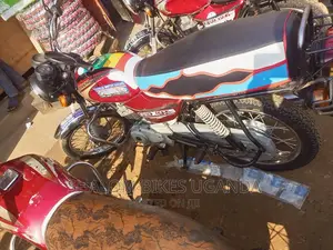 Bajaj Boxer 2017 Green