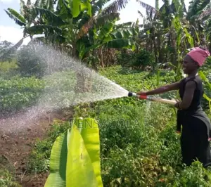 Water Gun /Water Torch/ Irrigation Nozzle