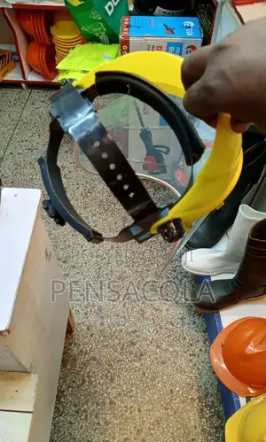 Painting Mask