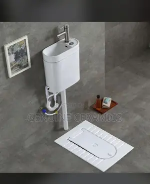 Squatting Toilet With a Basin