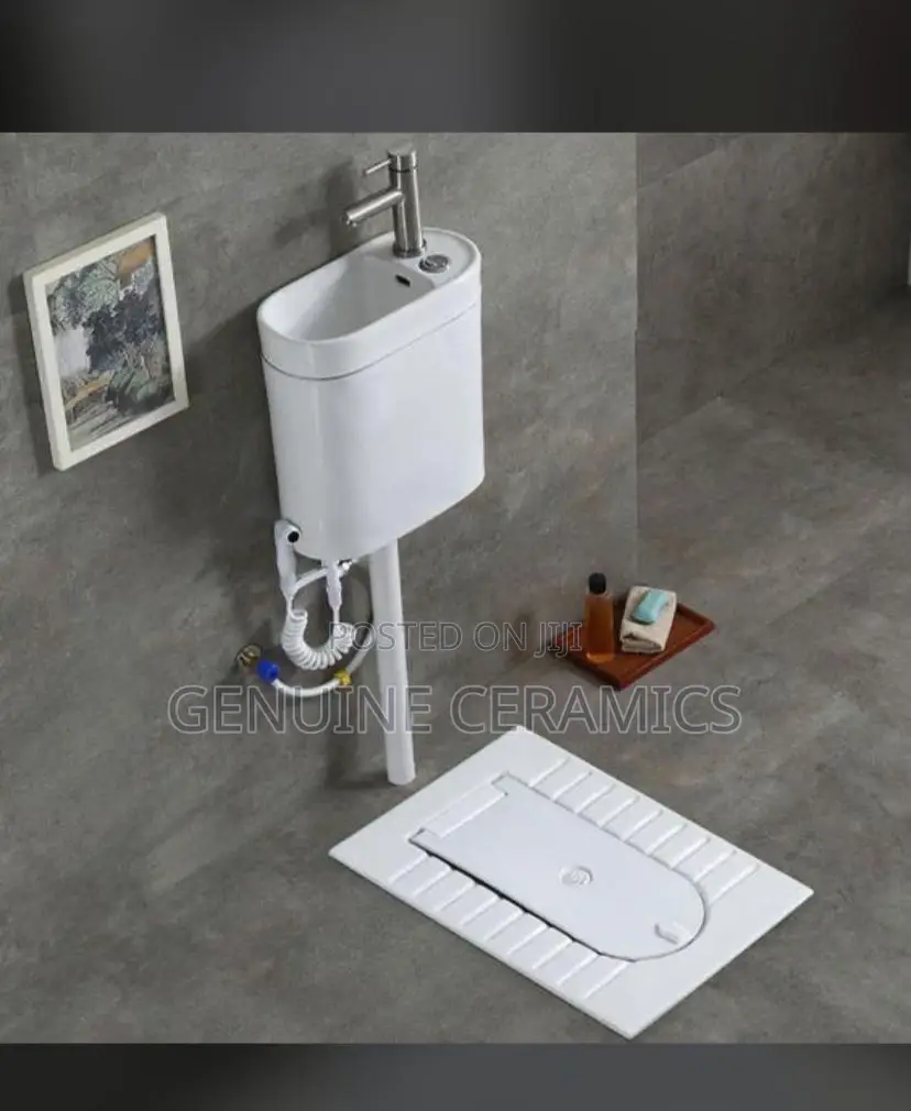 Squatting Toilet With a Basin