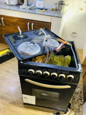 Professional Electric and Gas Cooker Services