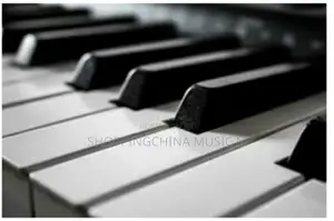 Keyboard Button Keys Yamaha Piano Accesories