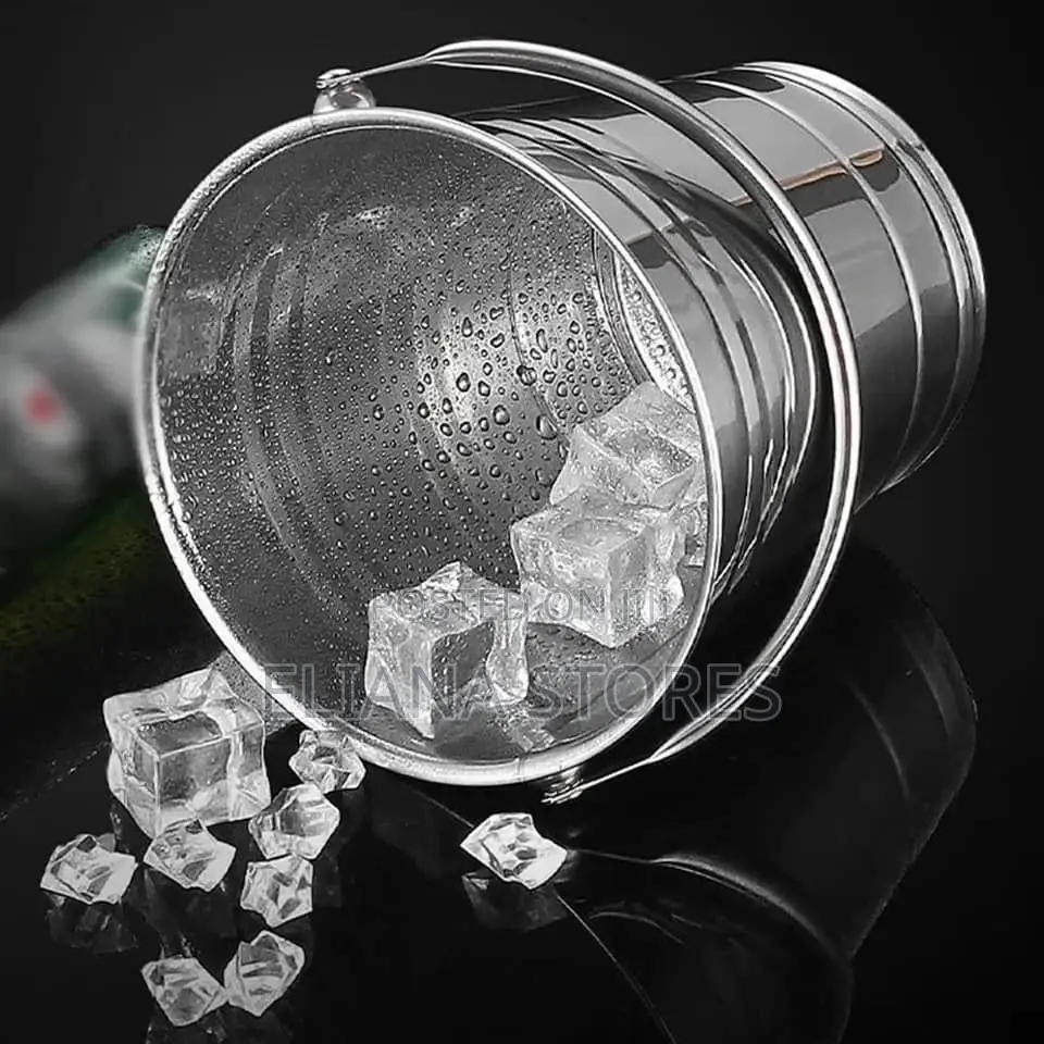 Stainless Steel Ice Buckets