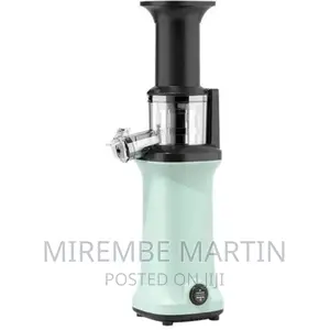 Electric Slow Juicer Fruit Blending Machine