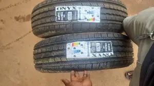 215/70r16 Onyx