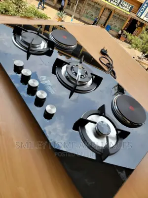 Electro Masters Cooker