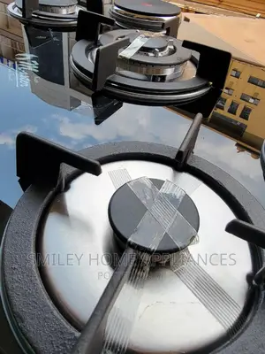 Electro Masters Cooker