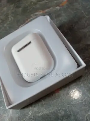 True Wireless Buds
