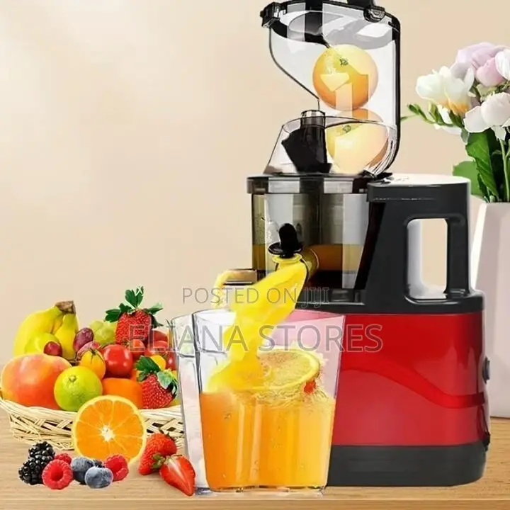 Raf Slow Juice Extractor Machine