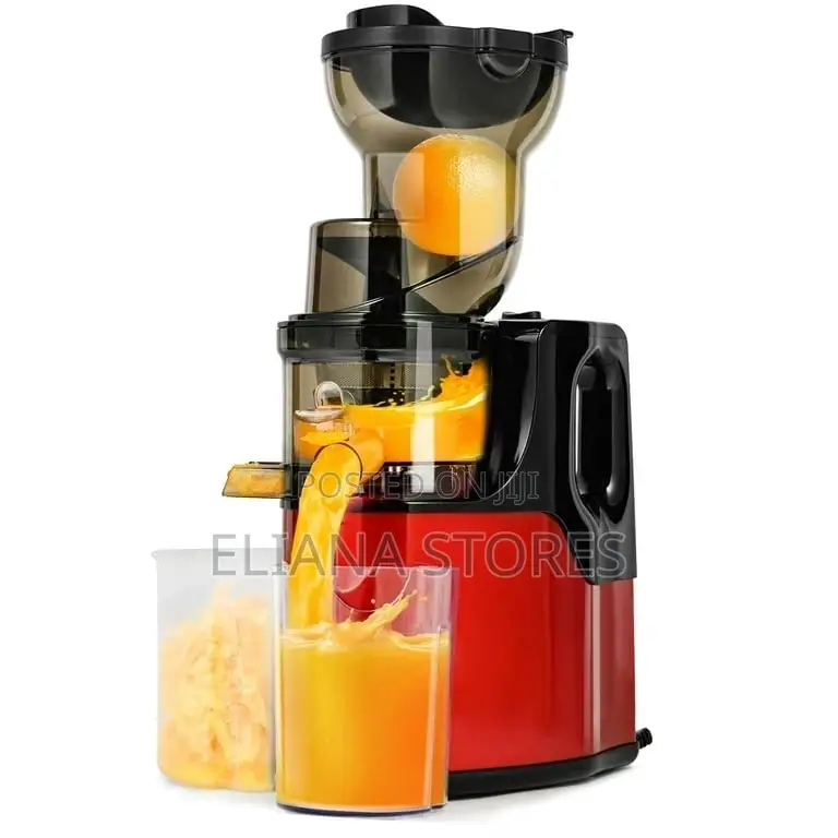 Raf Slow Juice Extractor Machine