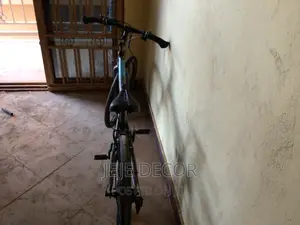 Mountain Climber Bicycle