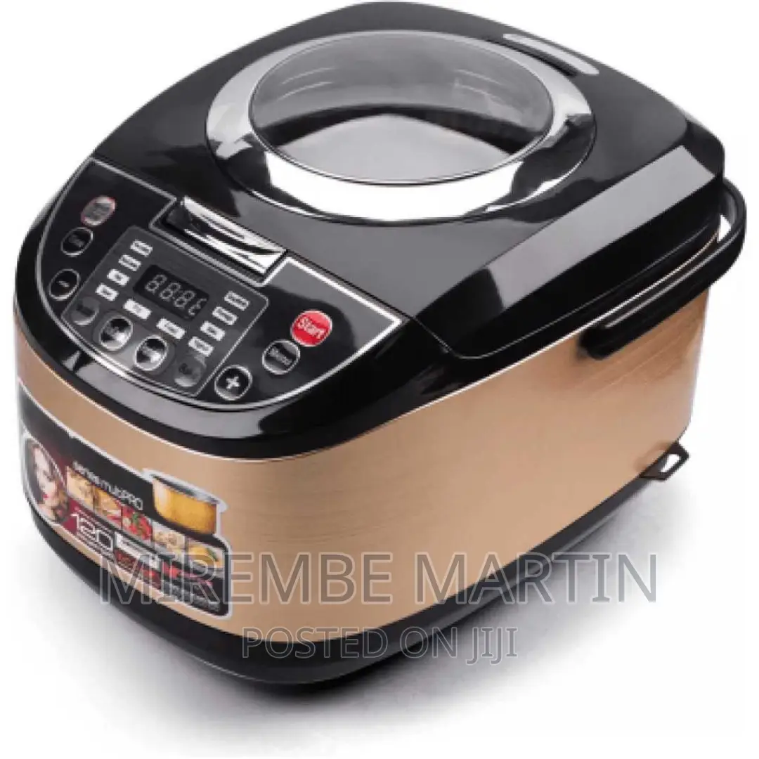 Electro Master Multi Cooker