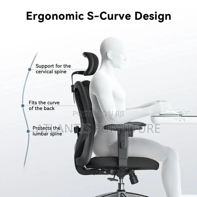 Ergonomic-S -Curve Design With Headrest