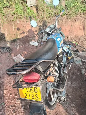 TVS XL 100 2011 Blue