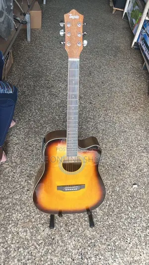 Photo - Acoustic Electric Guitars 006