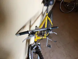 Raleigh Bike From UK