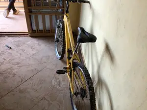 Raleigh Bike From UK