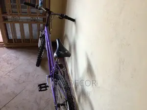 Trensty Mountain Bike From UK