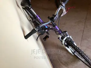 Trensty Mountain Bike From UK