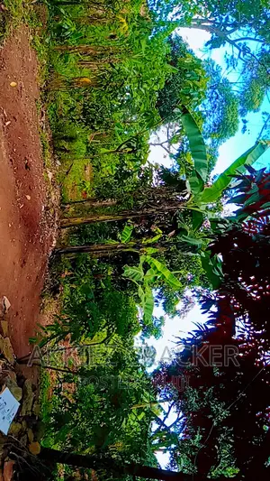 Plot for Sale on Titled Land at Kabimbiri, Kayunga Road