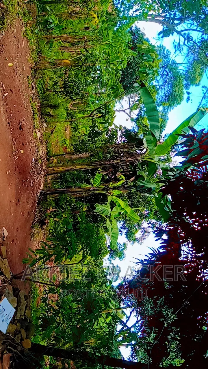 Plot for Sale on Titled Land at Kabimbiri, Kayunga Road