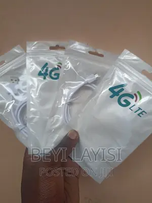 Smart C Type 4G USB Data Cable Charger