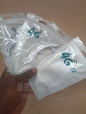 Smart C Type 4G USB Data Cable Charger