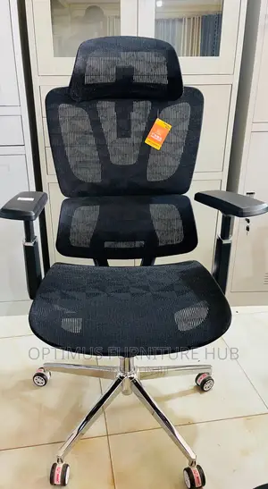 Orthopedic Office Chair